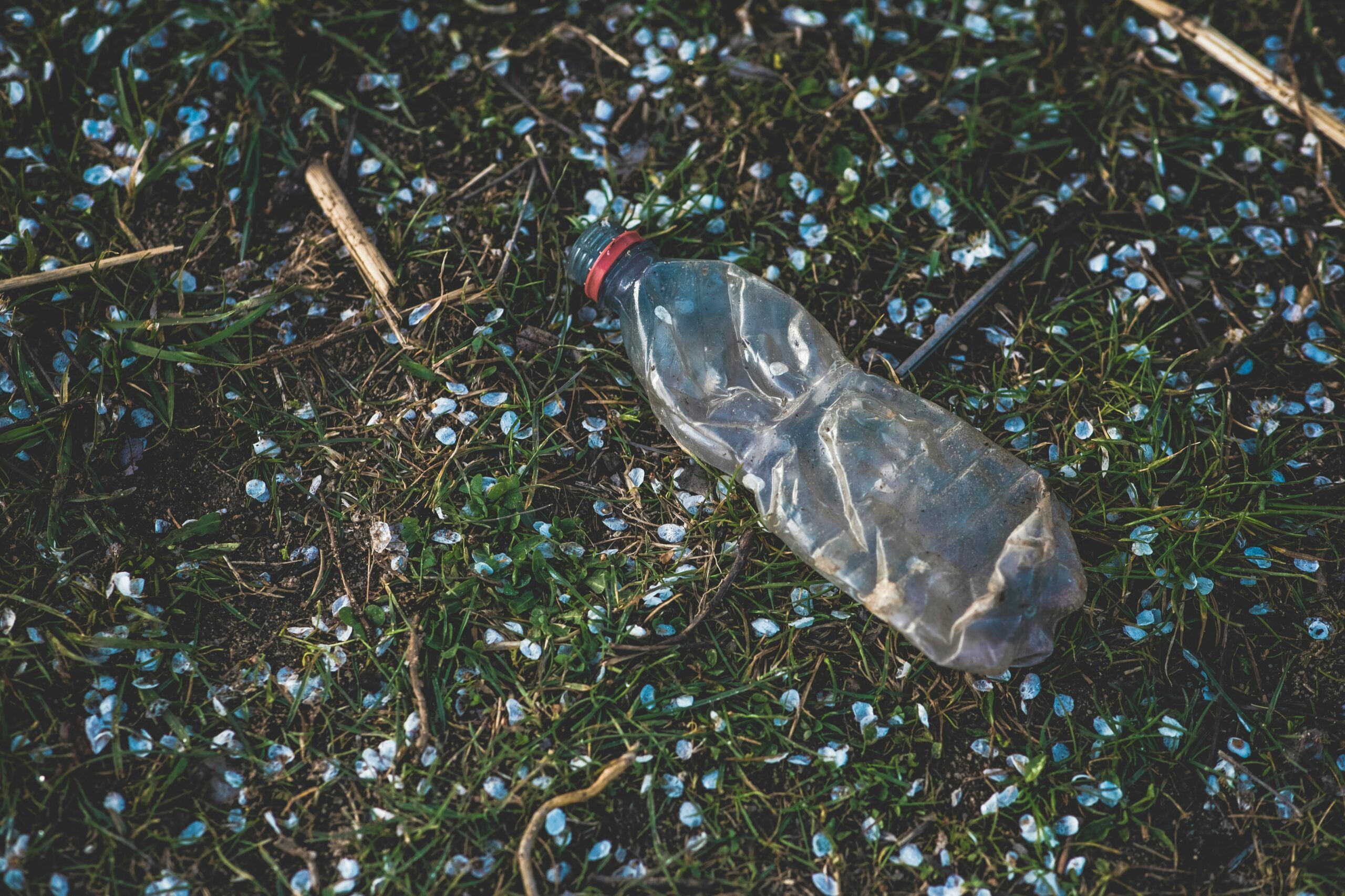 Greenwashing